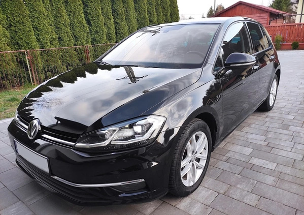 Volkswagen Golf cena 77900 przebieg: 67960, rok produkcji 2019 z Suchedniów małe 436